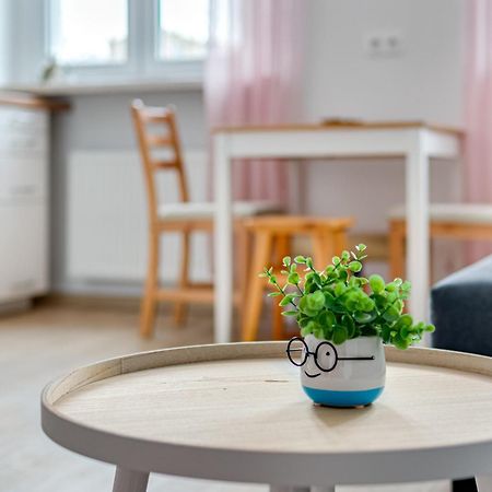 Maly Rynek Studio Opole Zewnętrze zdjęcie